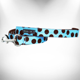 Polka Dot Dog Leads (Color: Brown Dot on Lt Blue, size: REGULAR Lead 1" width- 5' length)