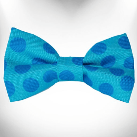 Polka Dot Dog - Monotone Bow Tie (Color: Turquoise)