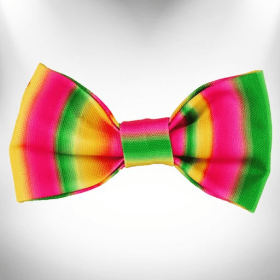 Tie Dye Dog Bow Tie (Color: Pink/Green)