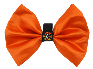 PR3007|Pets Ribbons (Color: Orange, size: 6")