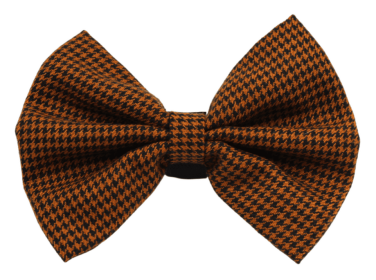 PR4012|Pets Ribbons (Color: Brown, size: 3")