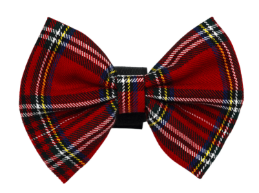 PR4013|Pets Ribbons (Color: Red, size: 2")