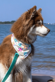 Sun & Shade Dog Bandana (size: M/L - 27in x 13in)