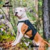 Multi-Use Support Dog Harness, Hiking and Trail Running, Service and Working, Everyday Wear-black XH